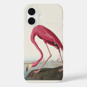 Coques iPhone 16 Art vintage d'Audubon sur le flamant rose américai