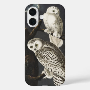 Coques iPhone 16 Art vintage de l'aigle de neige nocturne d'Audubon