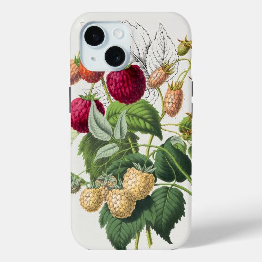 Coques Case-Mate iPhone Art vintage Red Strawberry (Verso)