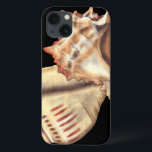 Coques Pour iPhone Artistic Conch Shells<br><div class="desc">Jennifer Goldberger has an amazing collection of capture capturing the gems of the ocean. dans this beautiful,  classic neutral color painting,  these two Conch seashells are the main object of the image. Get this nautical styled art on your favorite products today!</div>