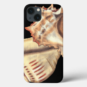 Coques Pour iPhone Artistic Conch Shells