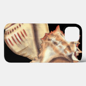 Coques Case-Mate iPhone Artistic Conch Shells (Verso (horizontal))