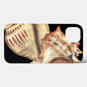 Coques Case-Mate iPhone Artistic Conch Shells (Verso (horizontal))