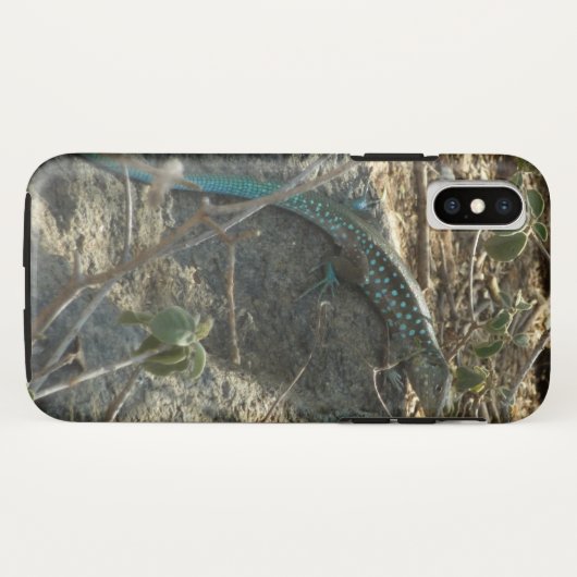 Coques Case-Mate iPhone Aruba Whiptail Lizard Photographie d'animaux tropi (Dos (Horizontal))