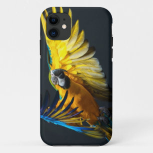 Coque iPhone 11 Arums colorés de vol sur un arrière - plan fonc