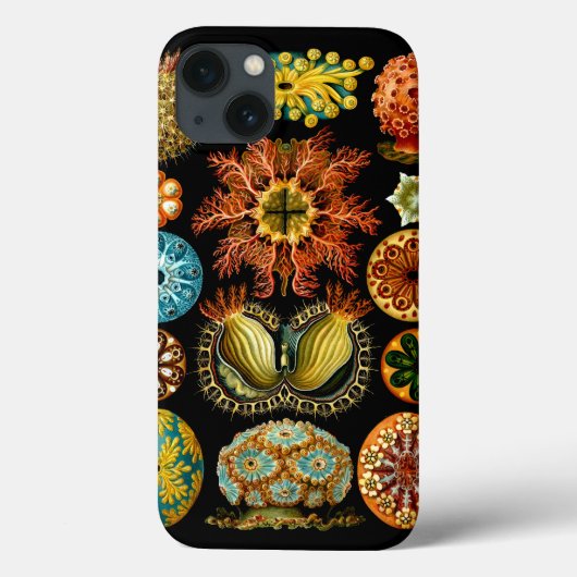 Coques Case-Mate iPhone Ascidiacea (Equipes de mer), Ernst Haeckel Fine Ar (Verso)