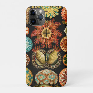 Case-Mate iPhone Case Ascidiae, Seescheiden Marine Life par Ernst Haecke