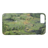 Coques Case-Mate iPhone Asie, Chine, Yunnan, Yuanyang. Motif de vert 2 (Dos (Horizontal))