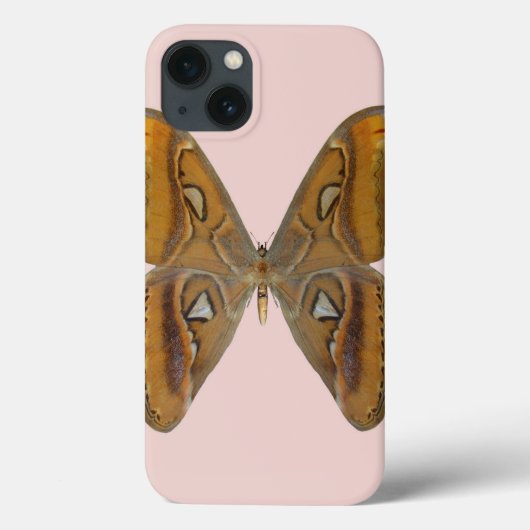 Coques Case-Mate iPhone Atlas Moth (Verso)
