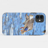Coques Case-Mate iPhone Atterrissage du canard-Majard Photo de la faune (Dos (Horizontal))