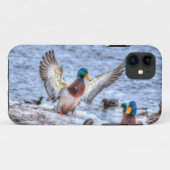 Coques Case-Mate iPhone Atterrissage du canard Mallard Drake 5 Photo de la (Dos (Horizontal))