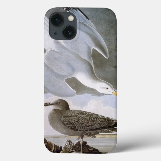 Coques Case-Mate iPhone Audubon (Verso)