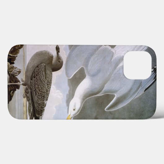 Coques Case-Mate iPhone Audubon (Verso (horizontal))