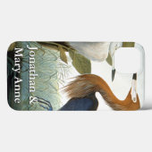 Coques Case-Mate iPhone Audubon : Aiguille Rougeâtre Ou Héron Violet (Verso (horizontal))