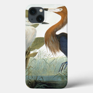 iPhone 13 Case Audubon : Aiguille Rougeâtre Ou Héron Violet