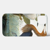 Coques Case-Mate iPhone Audubon : Aiguille Rougeâtre Ou Héron Violet (Verso (horizontal))