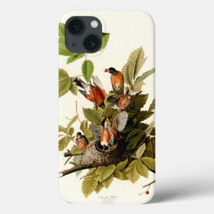Case-Mate iPhone Case Audubon American Robin Wildlife Bird