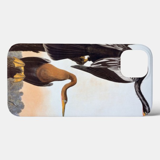Coques Case-Mate iPhone Audubon : Anhinga (Verso (horizontal))