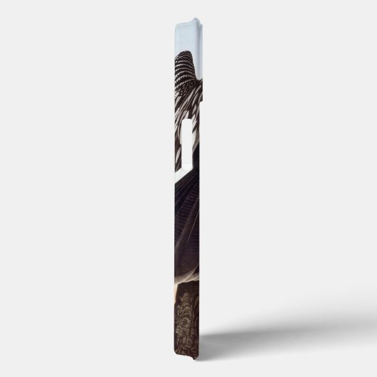 Coques Case-Mate iPhone Audubon : Anhinga (Verso / Droite)