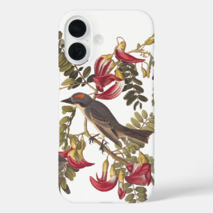 Coques iPhone 16 Audubon Bird, un tyran gris sur Hummingbird Tree