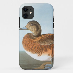 Coque iPhone 11 Audubon : Canard siffleur