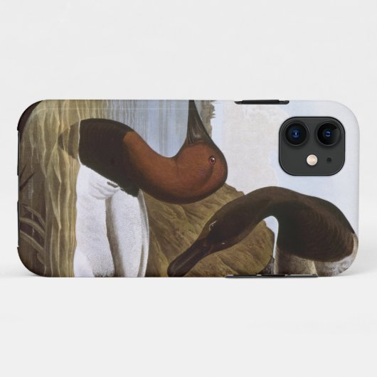 Coques Case-Mate iPhone Audubon : Canvasback (Dos (Horizontal))