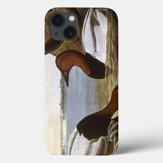 Coques Case-Mate iPhone Audubon : Canvasback (Verso)