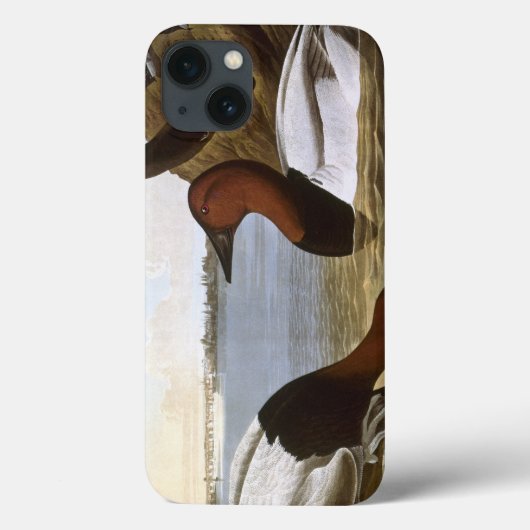 Coques Case-Mate iPhone Audubon : Canvasback (Verso)