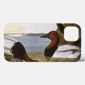 Coques Case-Mate iPhone Audubon : Canvasback (Verso (horizontal))