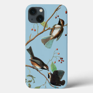 iPhone 13 Coque Audubon : Chickadee