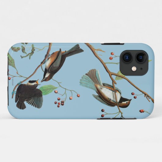 Coques Case-Mate iPhone Audubon : Chickadee (Dos (Horizontal))