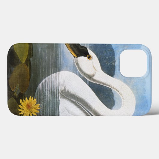 Coques Case-Mate iPhone Audubon : Cygne commun (Verso (horizontal))