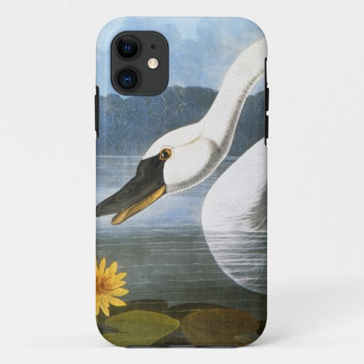 Coques Case-Mate iPhone Audubon : Cygne commun (Dos)