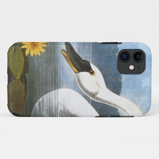 Coques Case-Mate iPhone Audubon : Cygne commun (Dos (Horizontal))