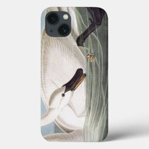 iPhone 13 Coque Audubon : Cygne de trompettiste