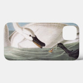 Coques Case-Mate iPhone Audubon : Cygne de trompettiste (Verso (horizontal))