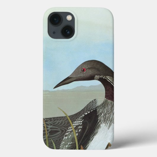 Coques Case-Mate iPhone Audubon : Dingue arctique (Verso)