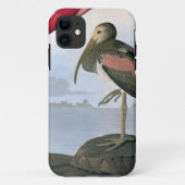 Coques Case-Mate iPhone Audubon : Écarlate IBIS (Dos)