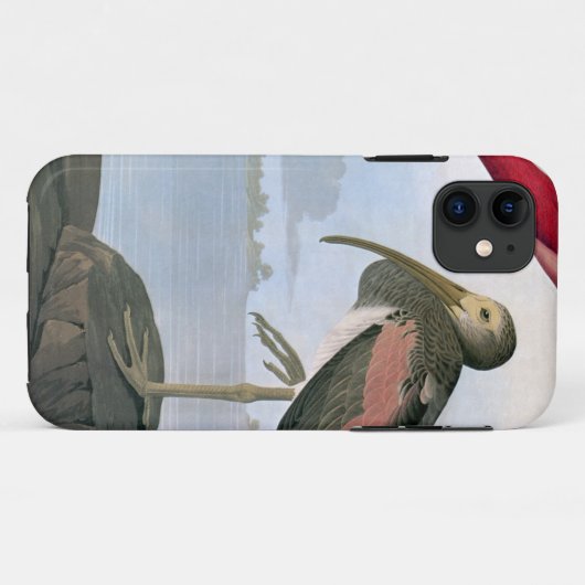 Coques Case-Mate iPhone Audubon : Écarlate IBIS (Dos (Horizontal))