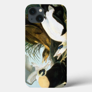 Case-Mate iPhone Case Audubon : Eider Duck