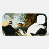 Coques Case-Mate iPhone Audubon : Eider Duck (Verso (horizontal))