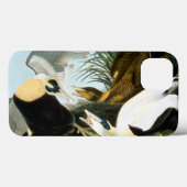 Coques Case-Mate iPhone Audubon : Eider Duck (Verso (horizontal))