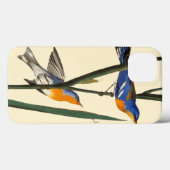 Coques Case-Mate iPhone Audubon : Fauvette (Verso (horizontal))