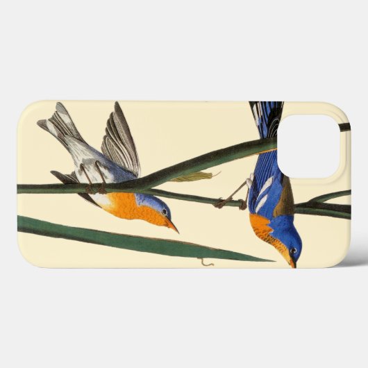 Coques Case-Mate iPhone Audubon : Fauvette (Verso (horizontal))