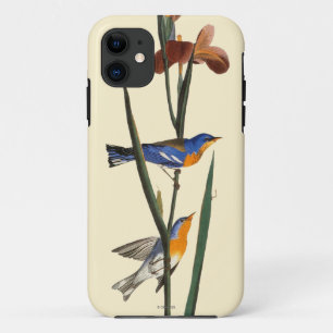 Etui iPhone Case-Mate Audubon : Fauvette