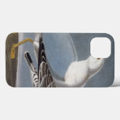 Coques Case-Mate iPhone Audubon : Goéland à anneaux (Verso (horizontal))