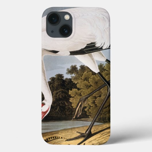 Coques Case-Mate iPhone Audubon : Grue blanche (Verso)