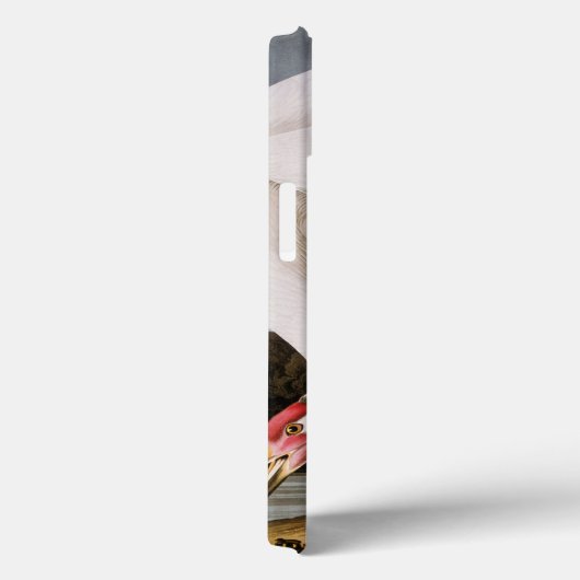 Coques Case-Mate iPhone Audubon : Grue blanche (Verso / Droite)