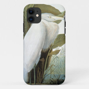 Coques Pour iPhone Audubon : Héron rougeâtre ou héron pourpre