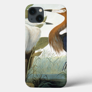 iPhone 13 Coque Audubon : Héron rougeâtre ou héron pourpre